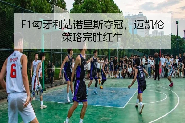 xiong-ya-li-zhan-nuo-li-si-duo-guan-mai-kai-lun-ce-lve-wan-sheng-hong-niu-3-359.jpg