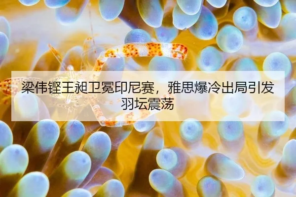 梁伟铿王昶卫冕印尼赛，雅思爆冷出局引发羽坛震荡