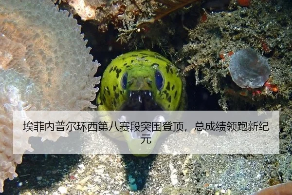 埃菲内普尔环西第八赛段突围登顶，总成绩领跑新纪元