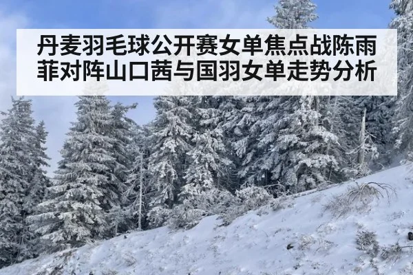 丹麦羽毛球公开赛女单焦点战陈雨菲对阵山口茜与国羽女单走势分析